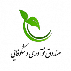 معاونت علمی و فناوری